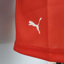 Camiseta Ferrari formula 1 v3