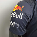 Polo Aston Martin V2